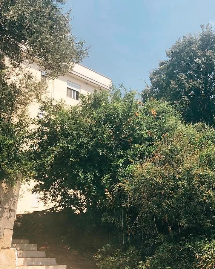Ionian Breeze Apartments بورش